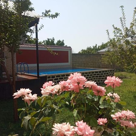 Villa Vilish Qabala Extérieur photo