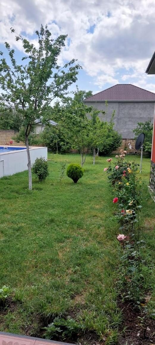 Villa Vilish Qabala Extérieur photo