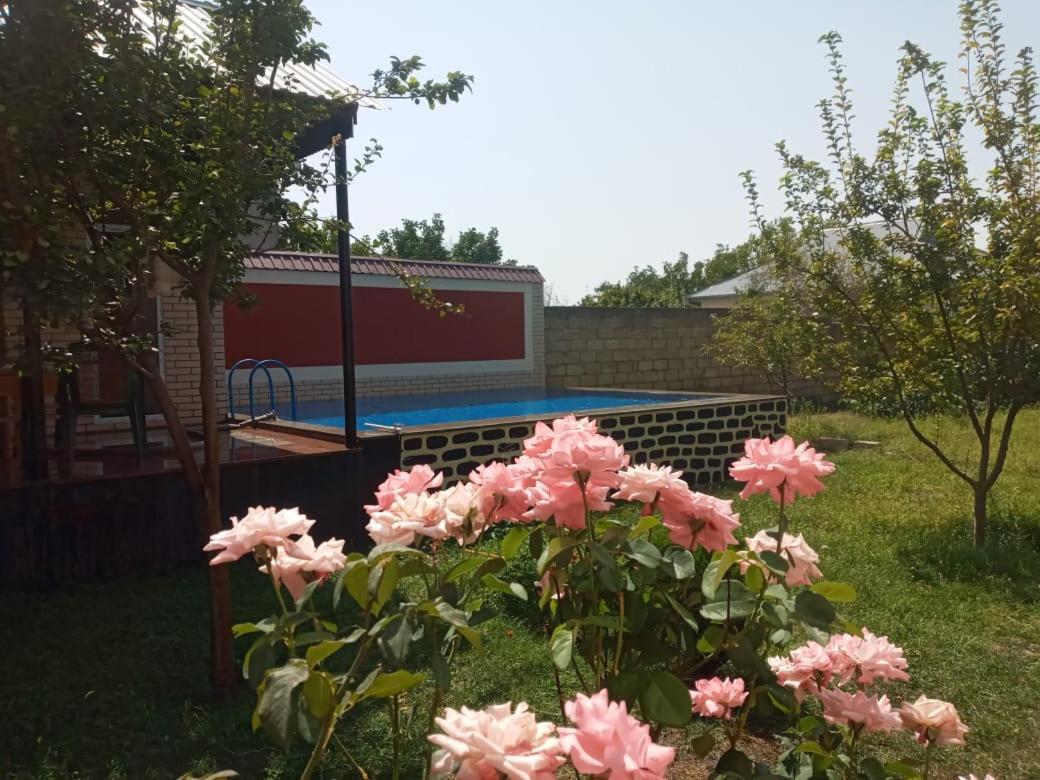 Villa Vilish Qabala Extérieur photo